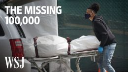 The-Missing-100000-The-Quest-to-Establish-the-Real-Covid-19-Death-Toll-WSJ