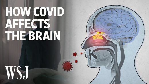 The-Science-Behind-How-the-Coronavirus-Affects-the-Brain-WSJ